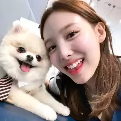 容晶辉